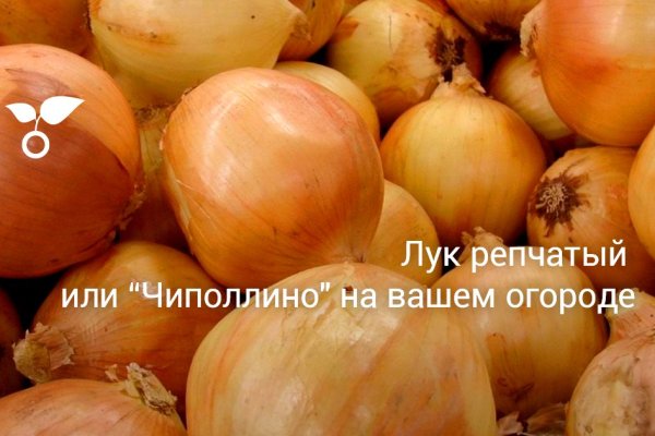 Кракен точка