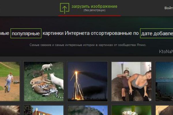 Кракен адрес тор