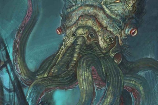 Kraken onion link